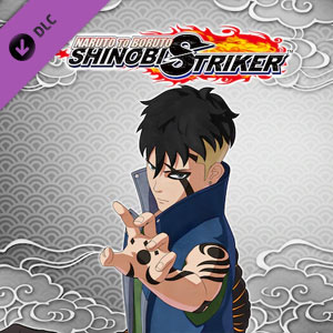 Acquistare NTBSS Master Character Training Pack Kawaki CD Key Confrontare Prezzi