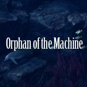 Orphan of the Machine Switch