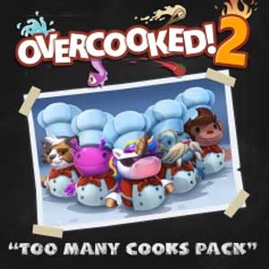 Acquistare Overcooked 2 Too Many Cooks Pack CD Key Confrontare Prezzi