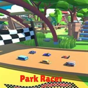 Park Racer Playstation 4