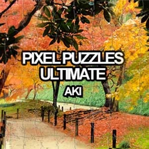 Pixel Puzzles Ultimate Puzzle Pack Aki