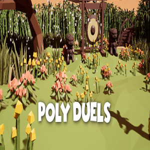 Acquistare Poly Duels CD Key Confrontare Prezzi