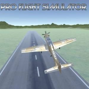 Pro Flight Simulator Switch