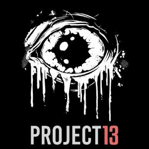 PROJECT 13 Pc