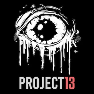 PROJECT 13 Playstation 4