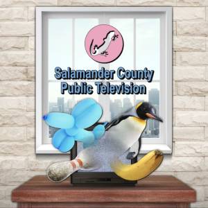 Acquistare Salamander County Public Television PS4 Confrontare Prezzi
