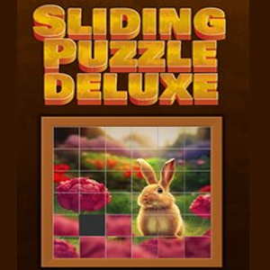 Sliding Puzzle Deluxe Xbox Series X
