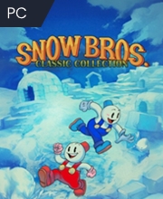 Acquistare Snow Bros. Classic Collection CD Key Confrontare Prezzi