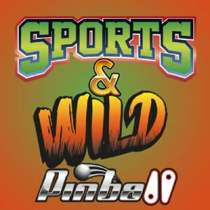 Sports & Wild Pinball Playstation 4