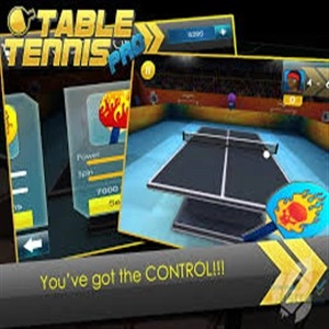 Table Tennis Pro Pc