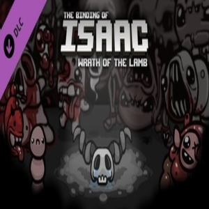 Acquistare The Binding of Isaac Wrath of the Lamb CD Key Confrontare Prezzi