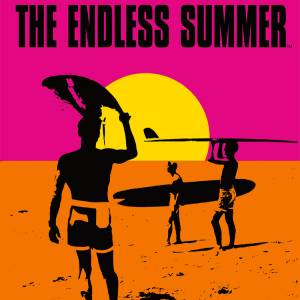 Acquistare The Endless Summer Surfing Challenge CD Key Confrontare Prezzi