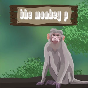 The Monkey P Playstation 5