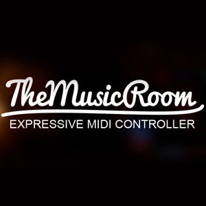 The Music Room Playstation 4