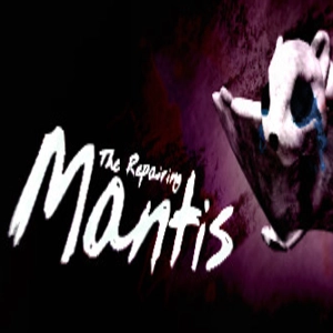 The Repairing Mantis