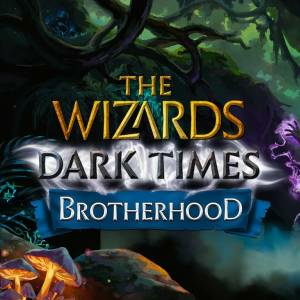 The Wizards Dark Times Brotherhood Pc