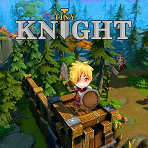 Acquista CD Key Tiny Knight Confronta Prezzi