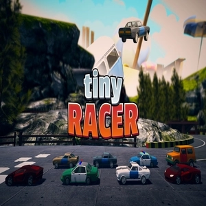 Tiny Racer Switch