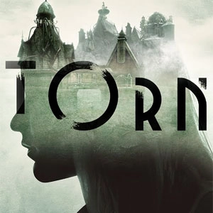 Torn Pc