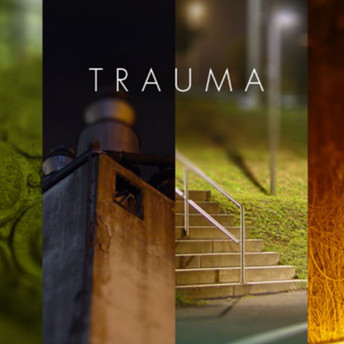 Acquista CD Key Trauma Confronta Prezzi