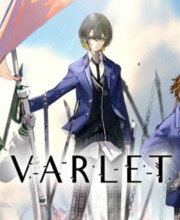 Acquistare VARLET Nintendo Switch Confrontare i prezzi