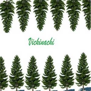 Vickinachi