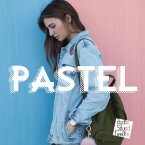 Visual Novel Maker PASTEL Pc