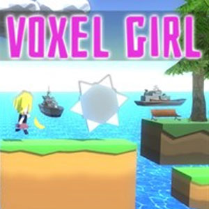 Acquistare Voxel Girl CD Key Confrontare Prezzi