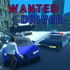 Wanted Driver Pc