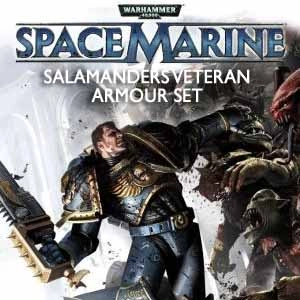 Warhammer 40k Space Marine Salamanders Veteran Armour Set Pc