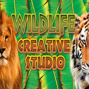 Acquista CD Key Wildlife Creative Studio Confronta Prezzi