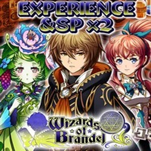 Wizards of Brandel Experience & SP x2 Pc