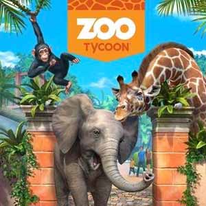 Acquista Xbox 360 Codice Zoo Tycoon Confronta Prezzi