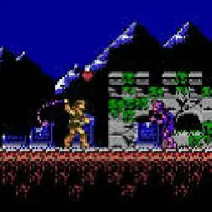 Castlevania Anniversary Collection - Frusta