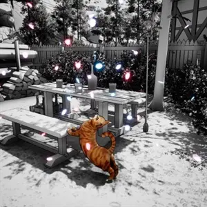 Cat Me If You Can - Gatto Arancione