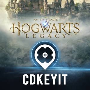 Come gira Hogwarts Legacy su PS4? - SpazioGames