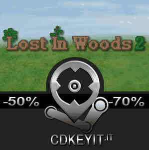 Lost in Woods 2