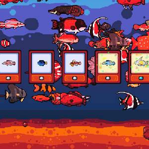 Chillquarium - Amici del Reef