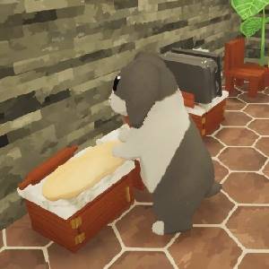 Cinnabunny - Forme Consentite