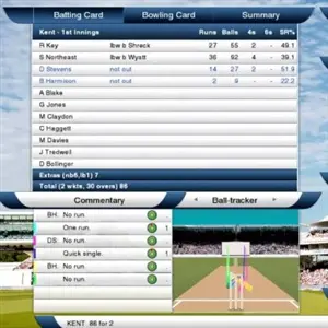 Cricket Captain 2014 - Statistiche