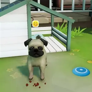 Cute Puppy Academy - Biscotti