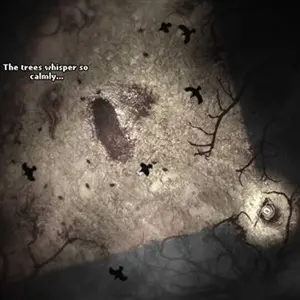 Darkwood Offenes Grab