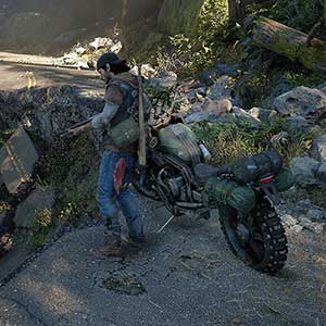 foresta incontaminata