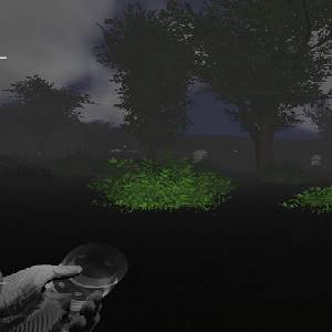 Deadly Forest Beta - Arbusti