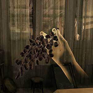 raccogliere varie informazioni