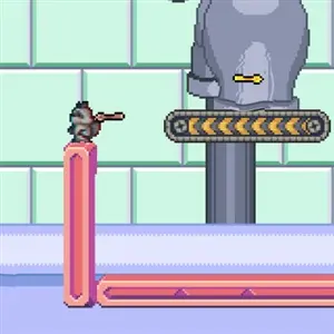 Dimensional Animals - Procione