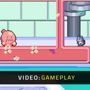 Dimensional Animals - Gameplay