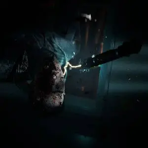 Directive 8020 - Ferito