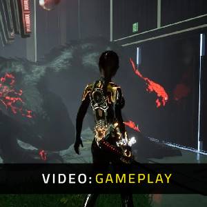 DISORDER 2025 - Video di Gioco