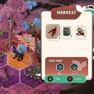 Distant Bloom - Semi di Albero